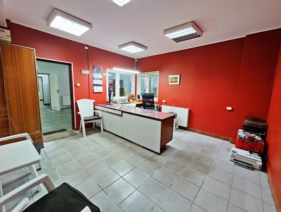 Hala/magazyn usługowa + dom jednorodzinny (3)