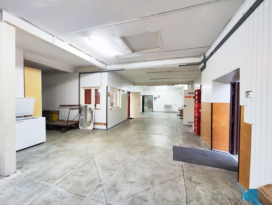 Hala/magazyn usługowa + dom jednorodzinny (4)