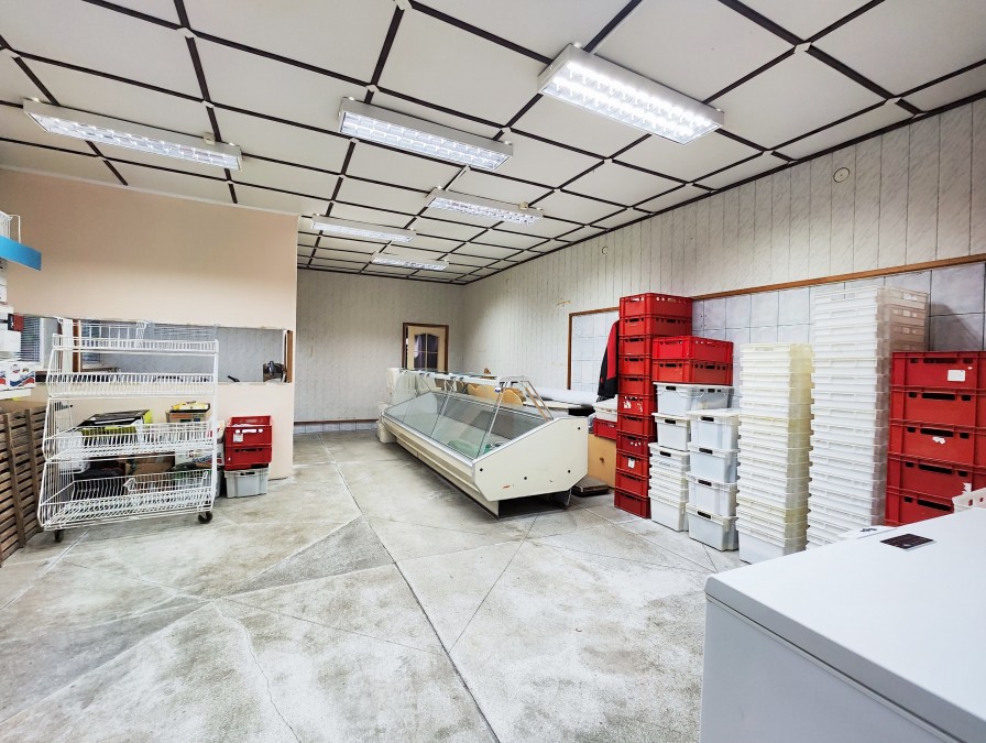 Hala/magazyn usługowa + dom jednorodzinny (6)