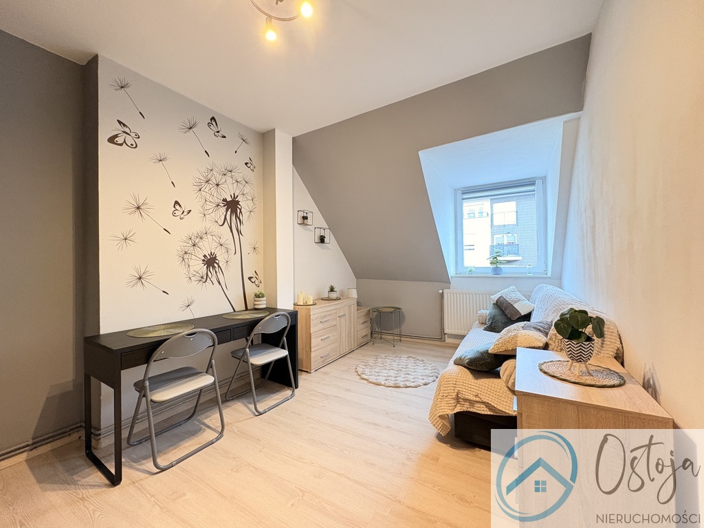 Przytulna kawalerka I Niski czynsz! I Blisko parku (3)