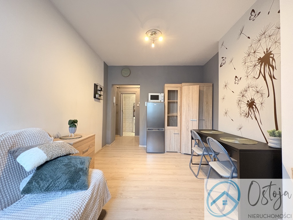 Przytulna kawalerka I Niski czynsz! I Blisko parku (2)