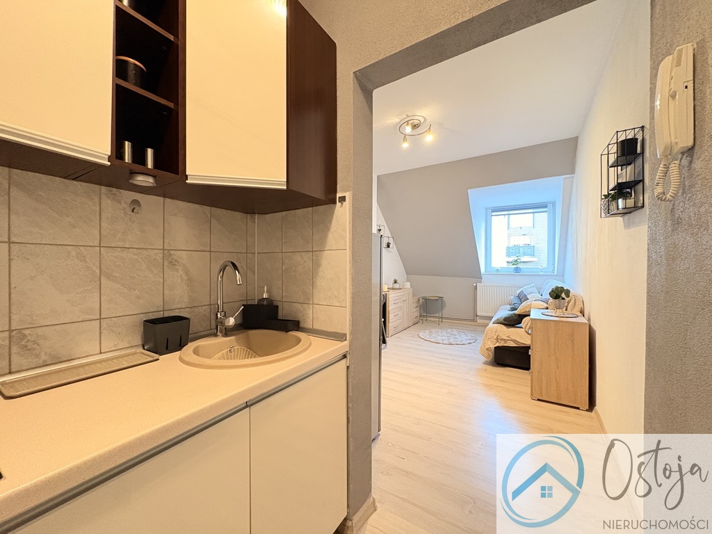 Przytulna kawalerka I Niski czynsz! I Blisko parku (6)