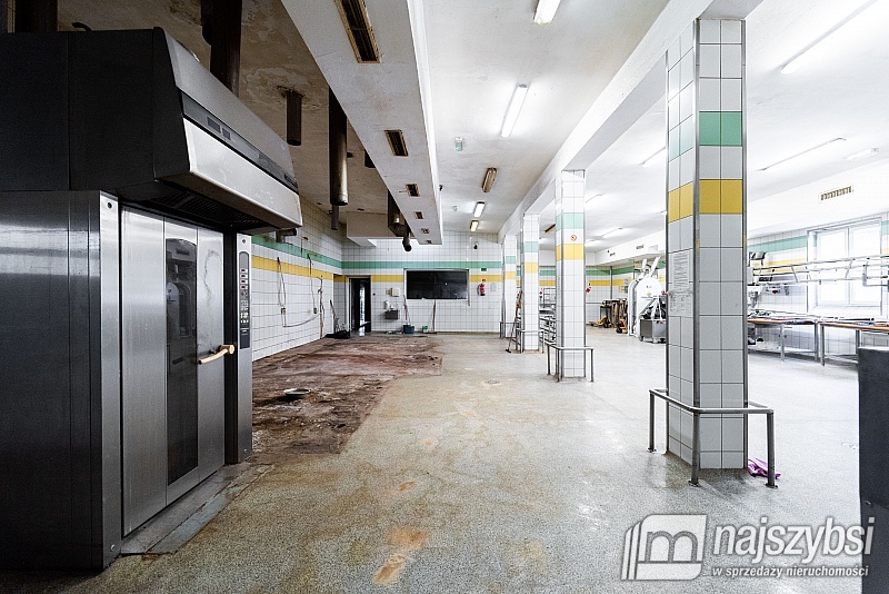 Lokal na wynajem (1)