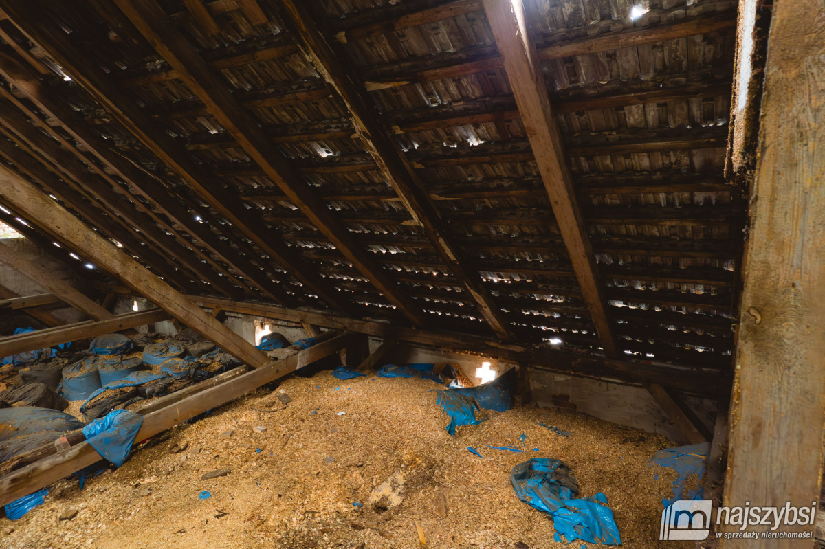 Szczecin - Stodoła na wynajem inwestycyjny (12)