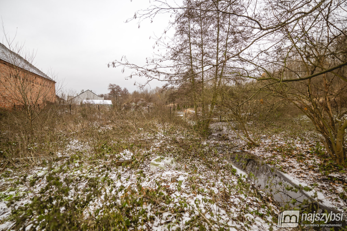 Szczecin - Stodoła na wynajem inwestycyjny (5)