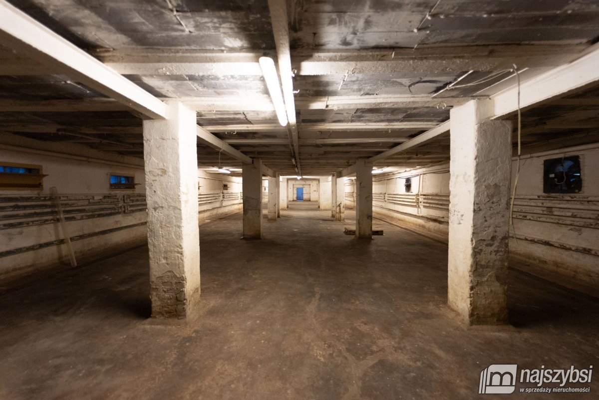 Goleniów - bliska okolica, HALA/MAGAZYN na wynajem (16)