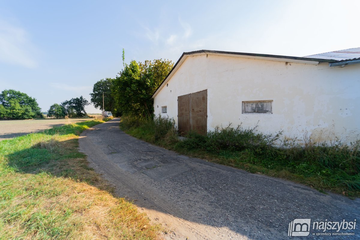 Goleniów - bliska okolica, HALA/MAGAZYN na wynajem (4)