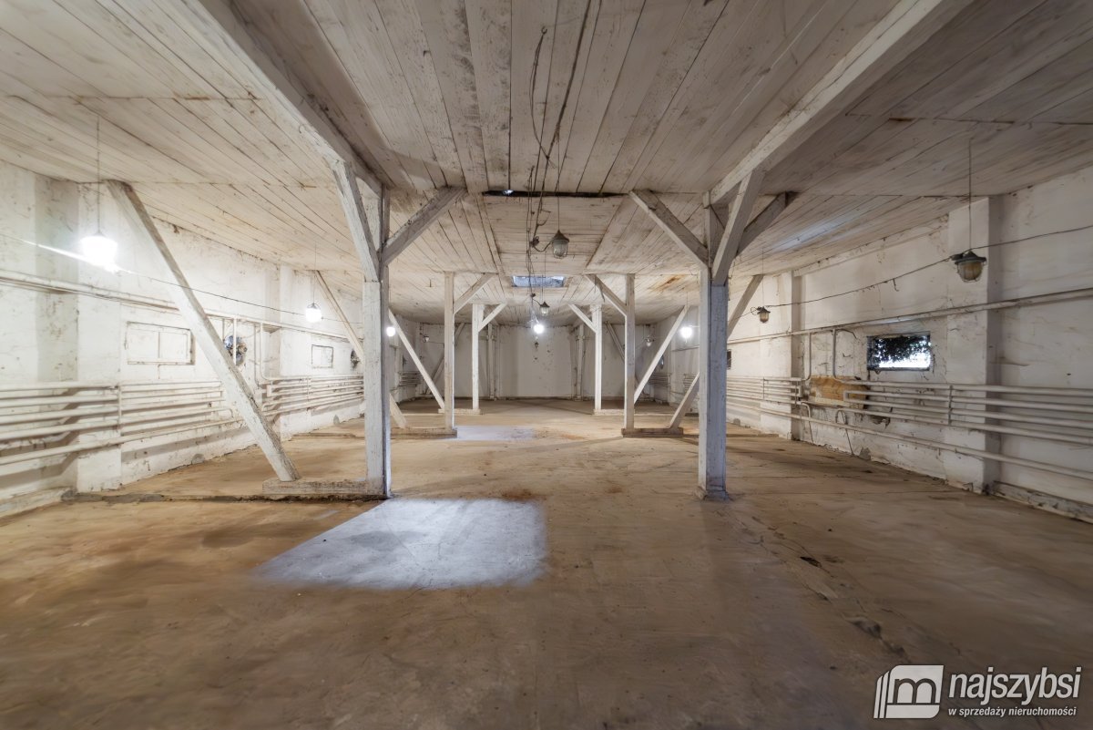 Goleniów - bliska okolica, HALA/MAGAZYN na wynajem (6)