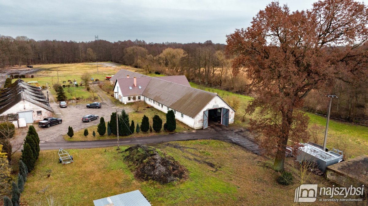 Stepnica-hala 310 m2 do 680  m2 do wynajęcia (1)