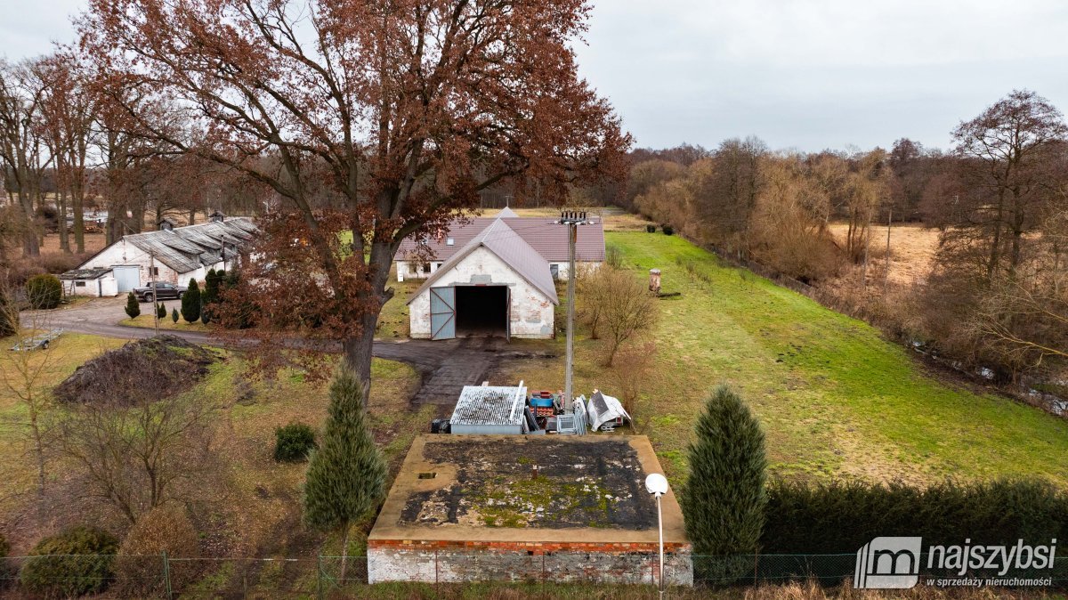 Stepnica-hala 310 m2 do 680  m2 do wynajęcia (7)