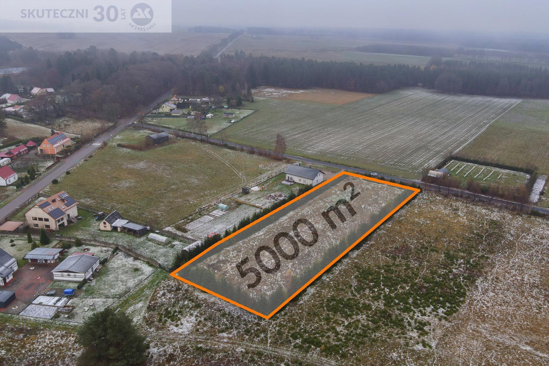 Działka - Krytno  (1)