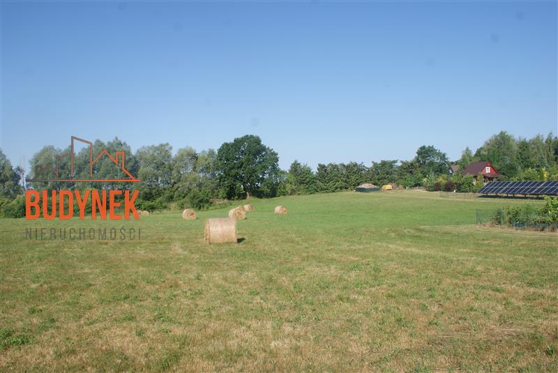 Działka rolna - Zakrzewo  (5)