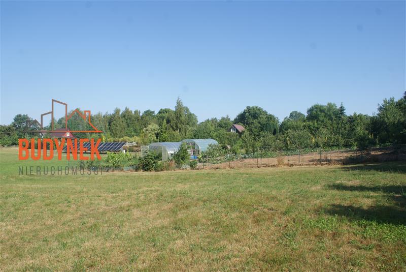 Działka rolna - Zakrzewo  (6)