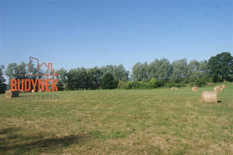 Działka rolna - Zakrzewo  (7)