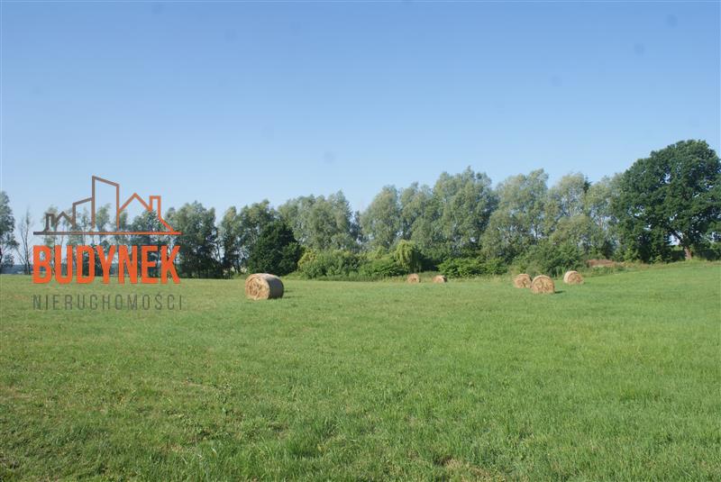 Działka rolna - Zakrzewo  (8)