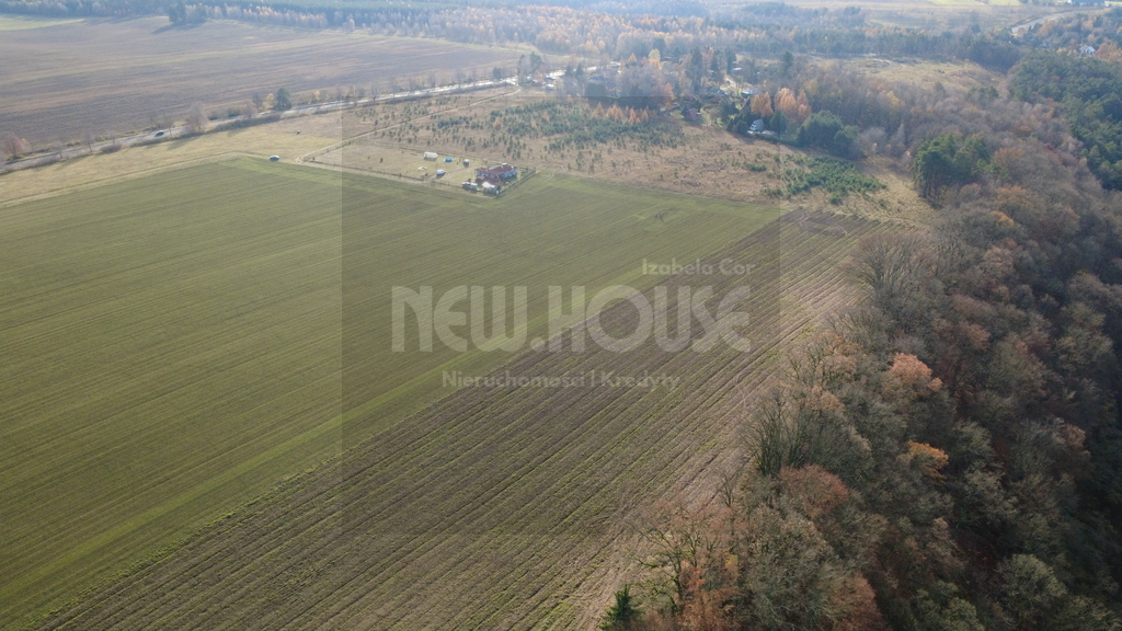 Unikatowe działki rolno-budowlane - Jezioro Ińsko (11)
