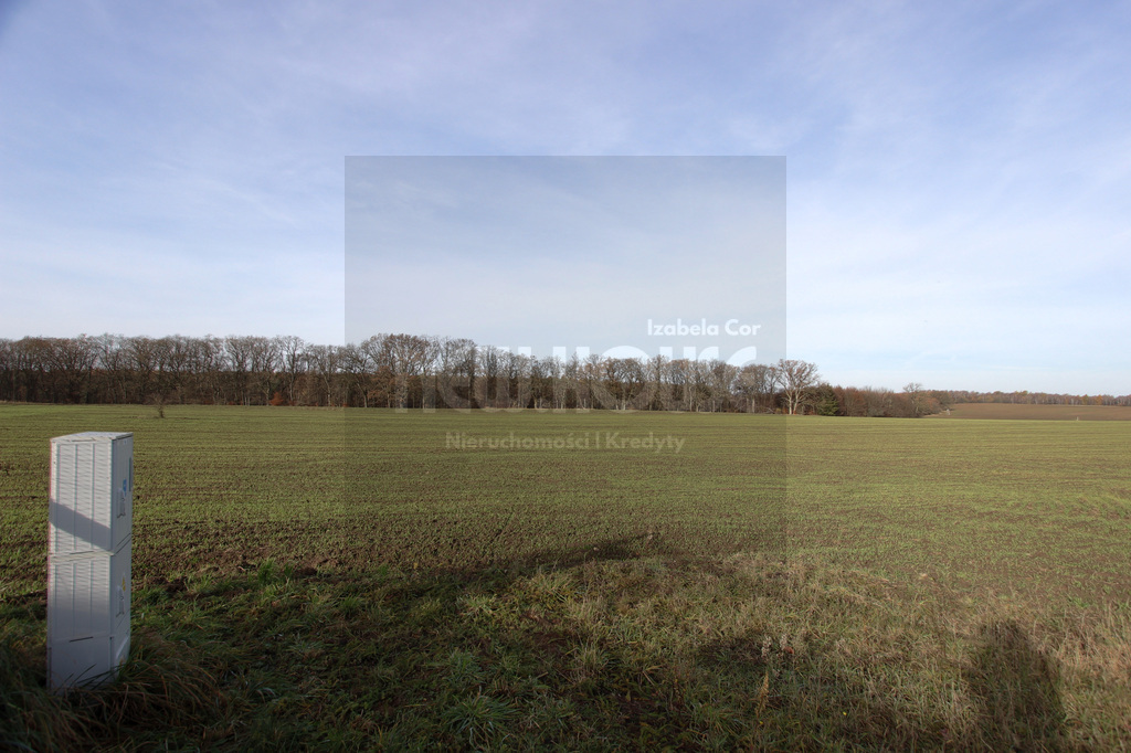 Unikatowe działki rolno-budowlane - Jezioro Ińsko (17)