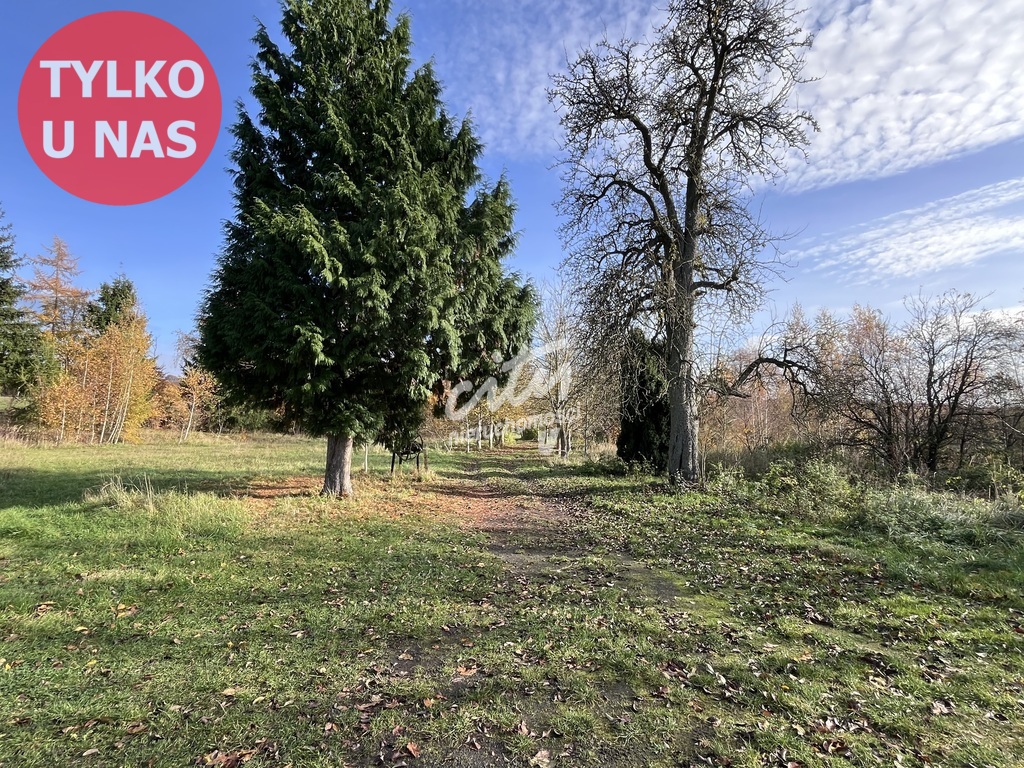 Duża działka z dostępem do jeziora pod Szczecinem! (13)