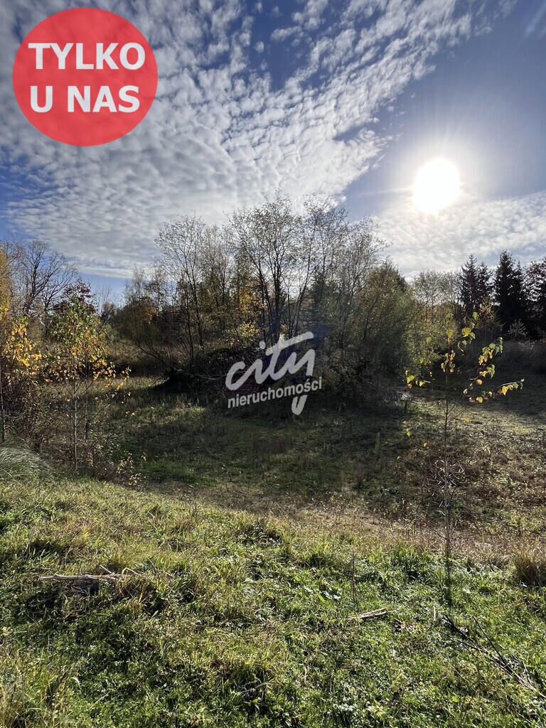 Duża działka z dostępem do jeziora pod Szczecinem! (14)