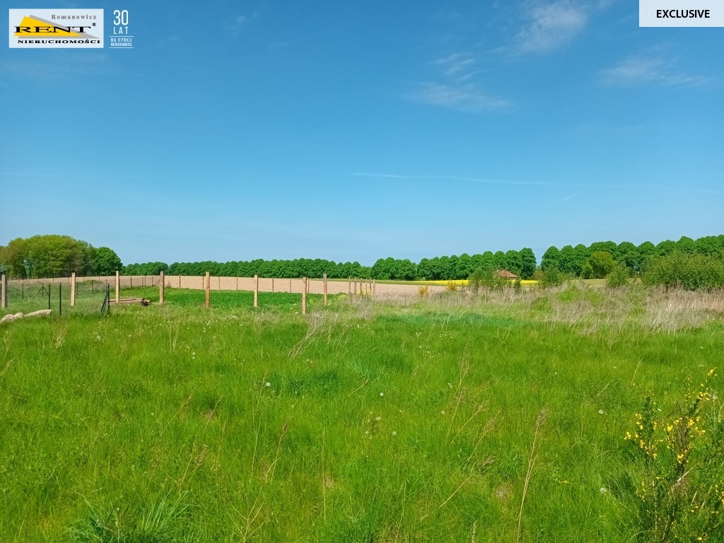 Działka z Warunkami Zabudowy, blisko Kołobrzegu (6)