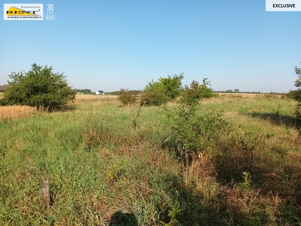 Działka z war. zab., k. Pyrzyc, 2,5km od jeziora (2)