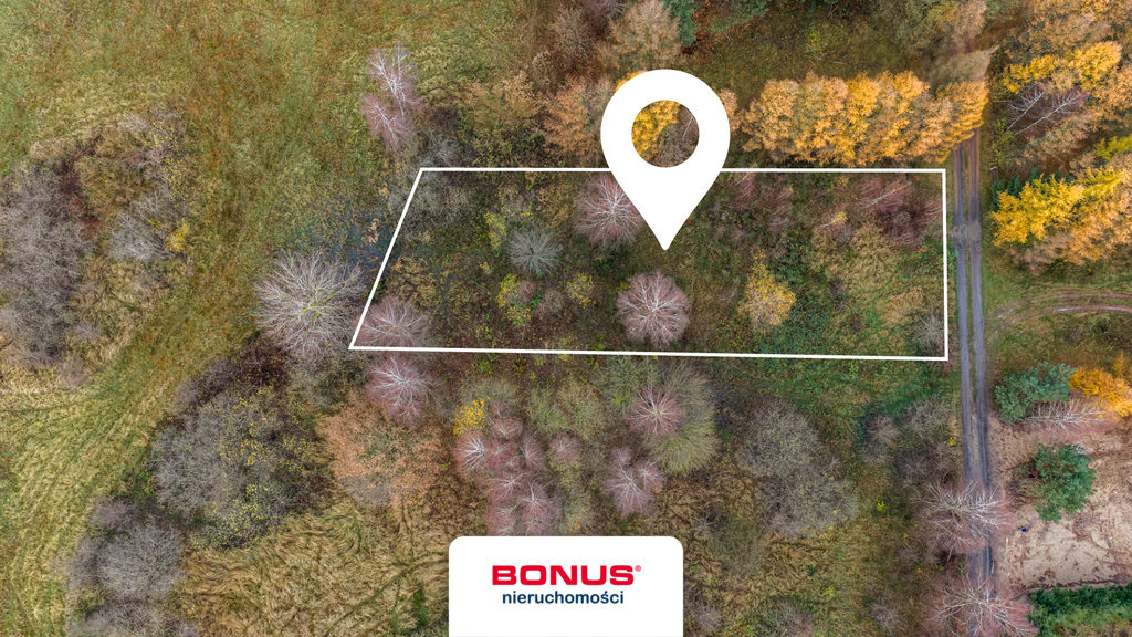 Widok na Jezioro Ińsko i dostęp do pomostu - MPZP (4)