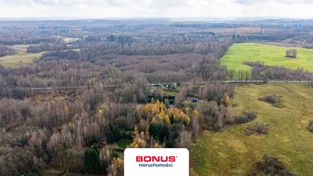 Widok na Jezioro Ińsko i dostęp do pomostu - MPZP (5)