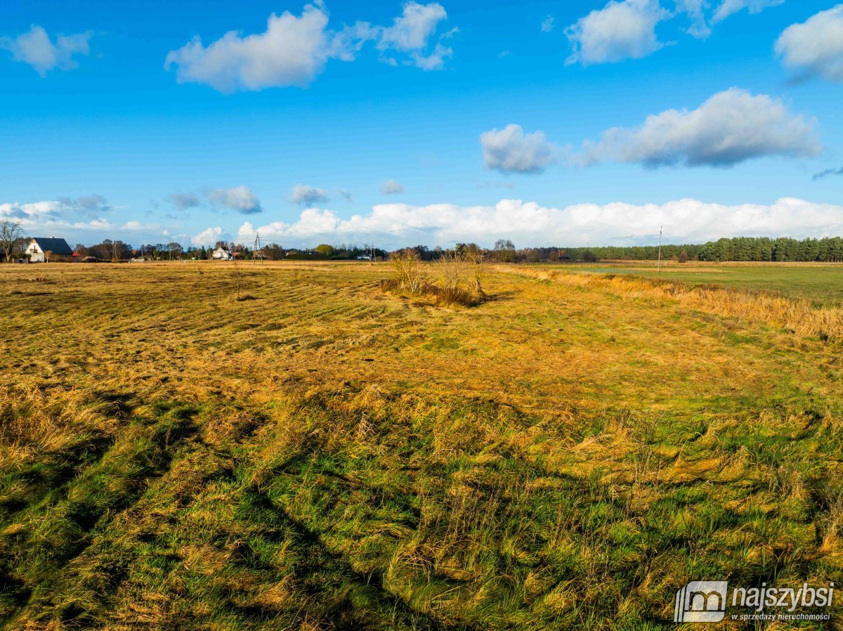 Gmina Dobra - Łęgi -działka  (20)