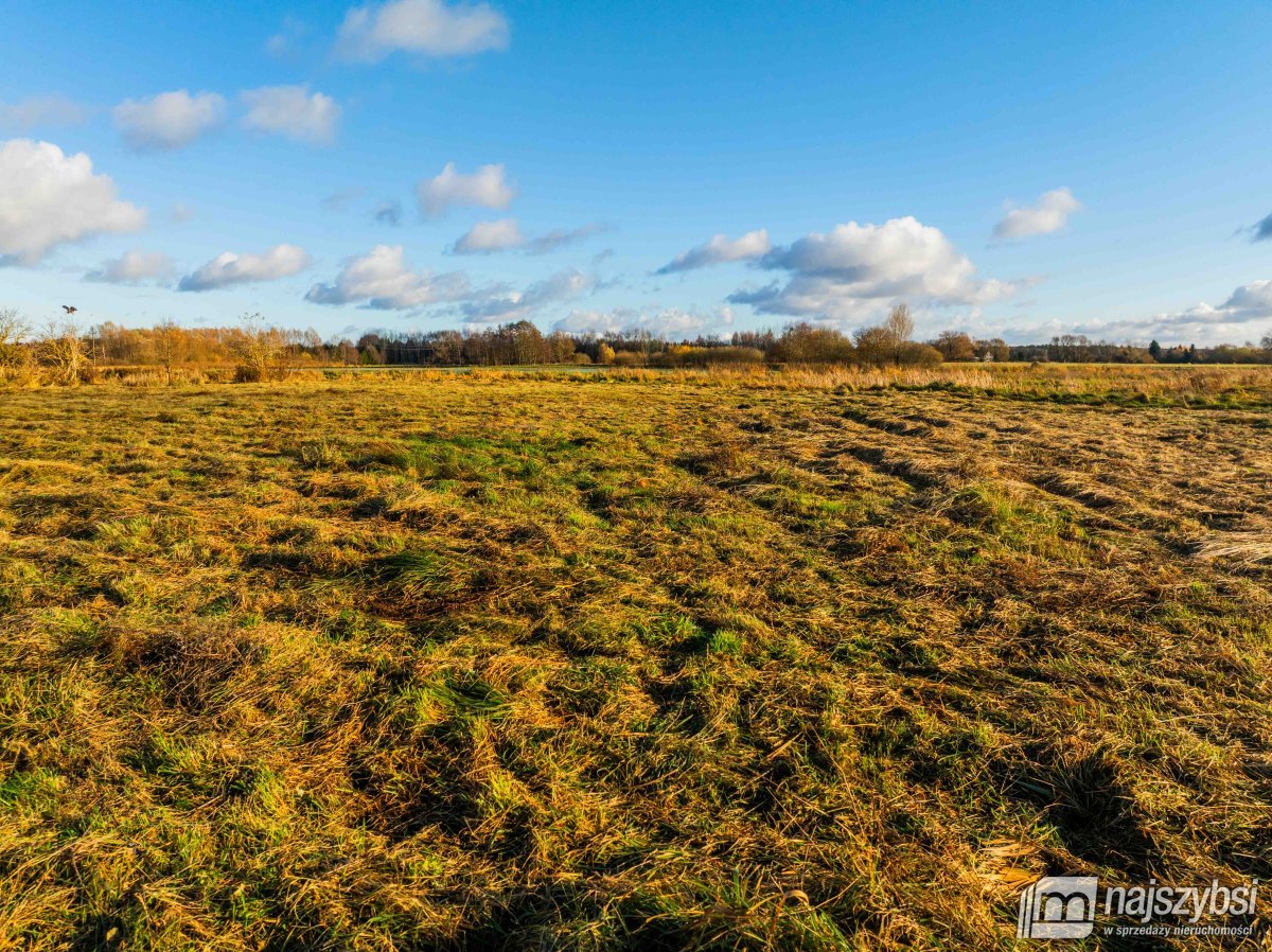 Gmina Dobra - Łęgi -działka  (21)