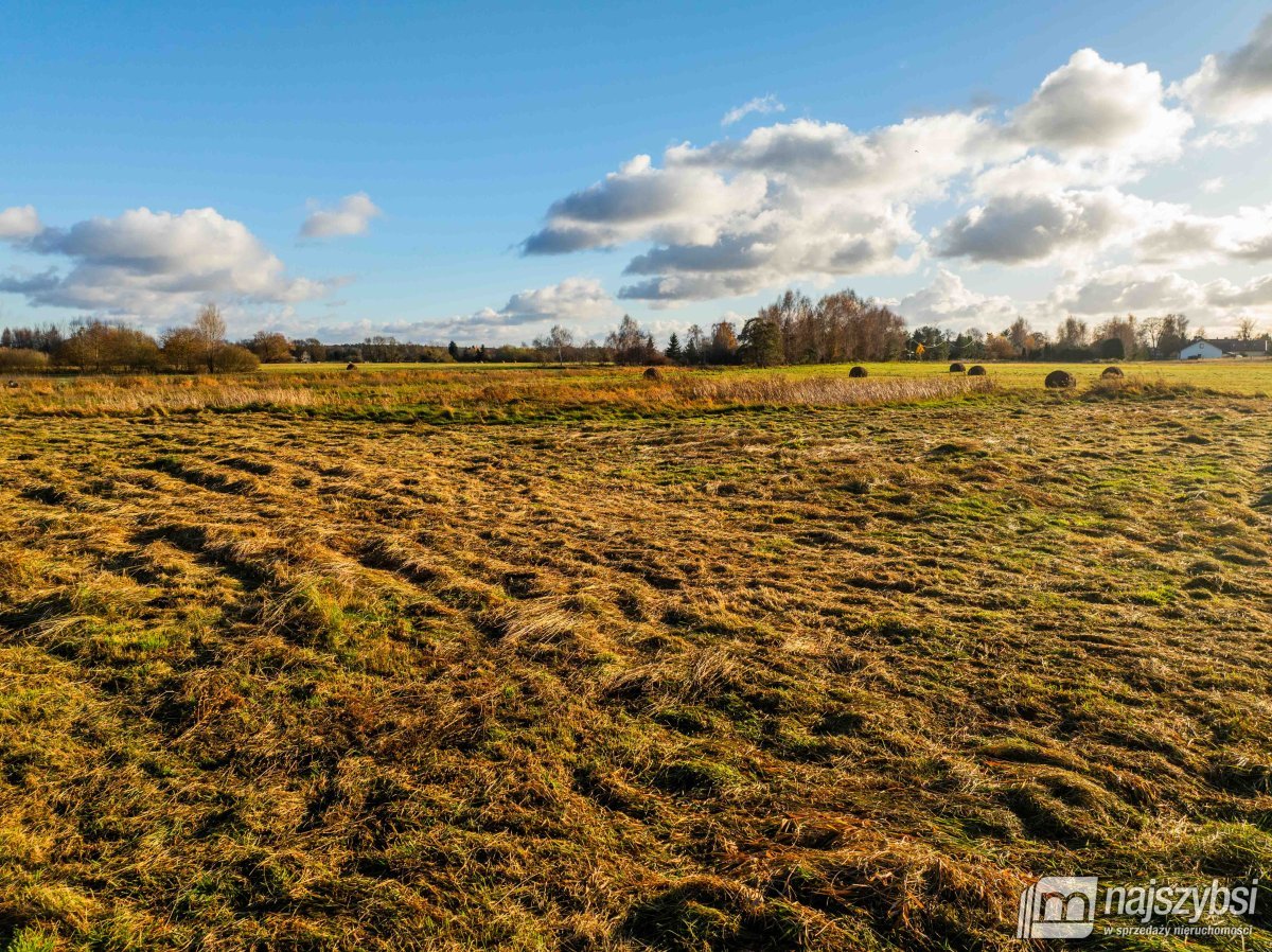 Gmina Dobra - Łęgi -działka  (19)