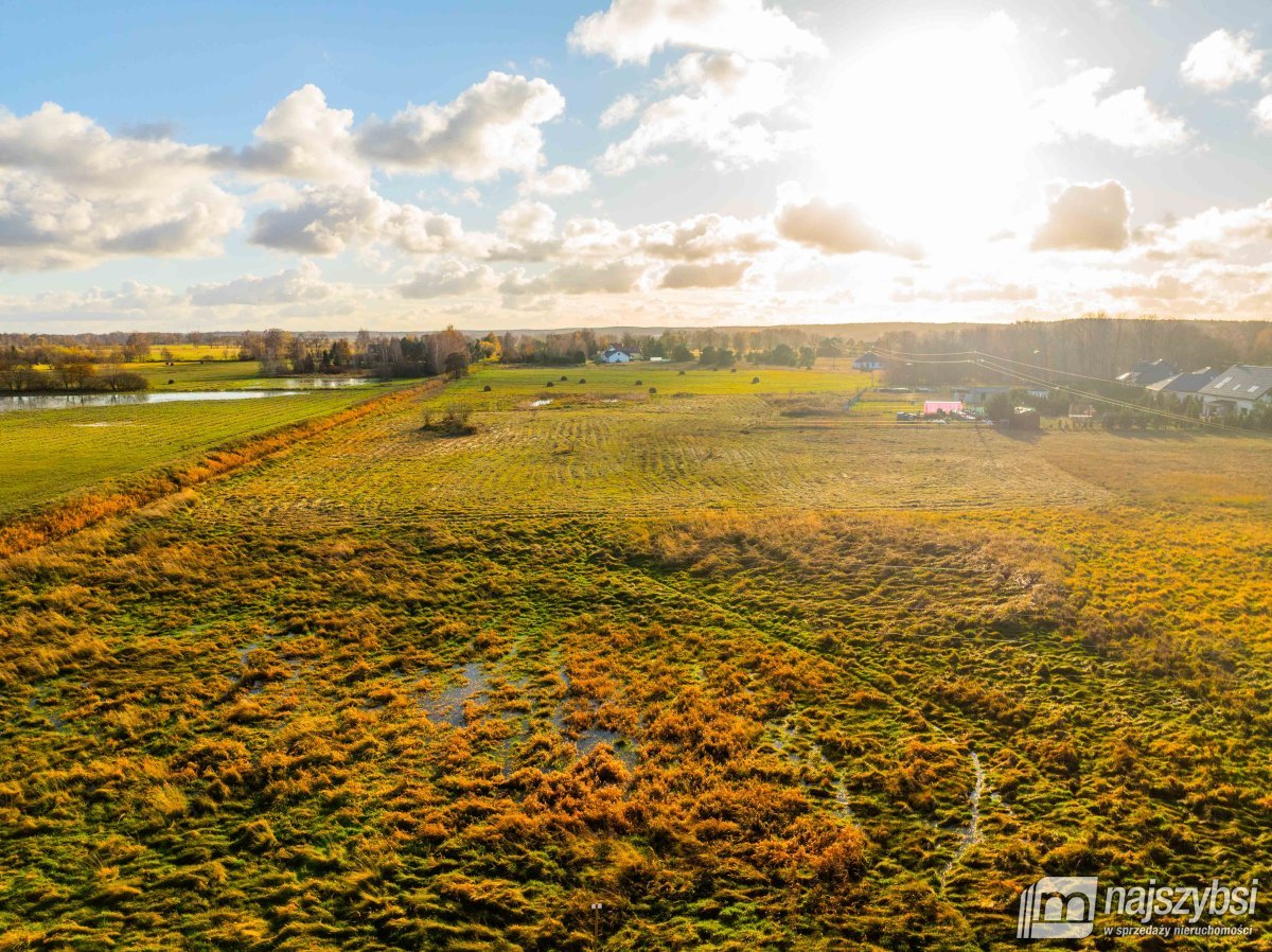 Gmina Dobra - Łęgi -działka  (21)