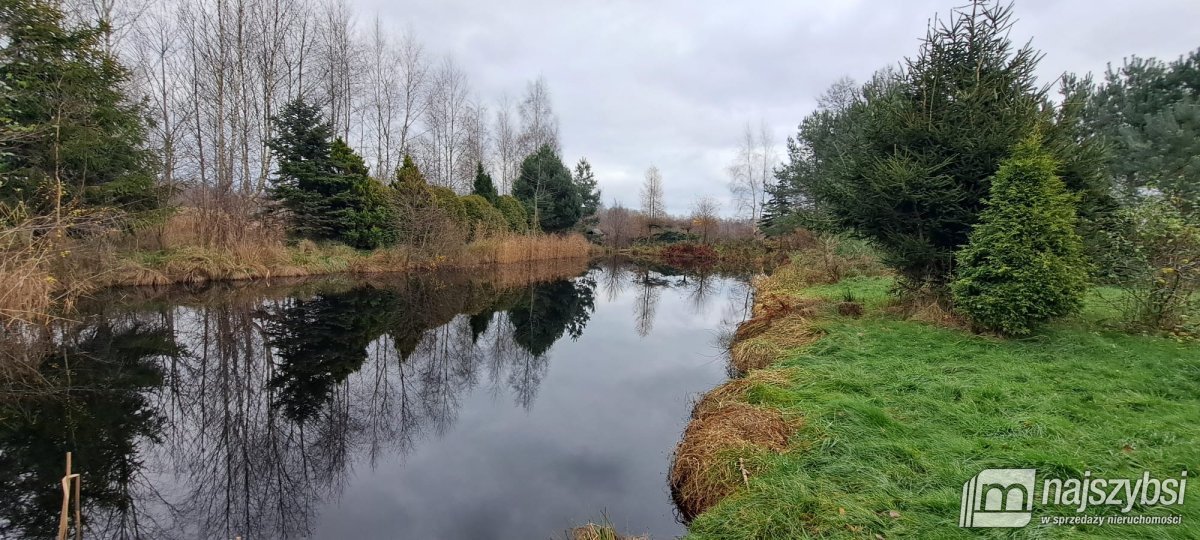 Wyszebórz - Dom w spokojnej okolicy (28)