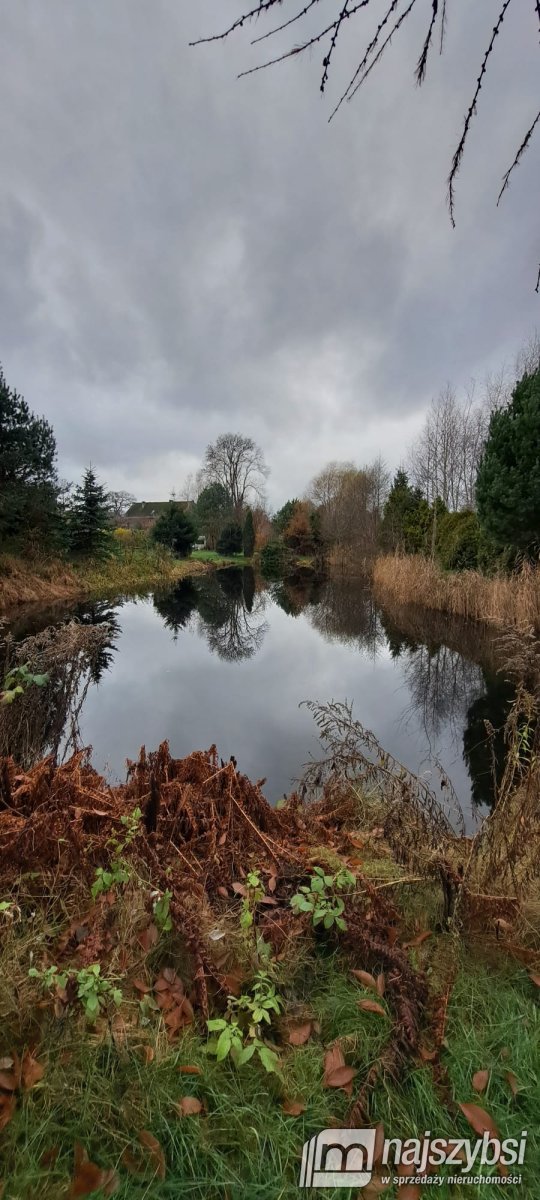 Wyszebórz - Dom w spokojnej okolicy (29)
