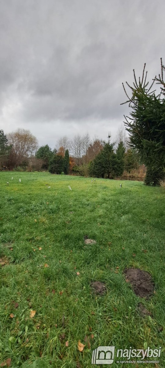 Wyszebórz - Dom w spokojnej okolicy (34)