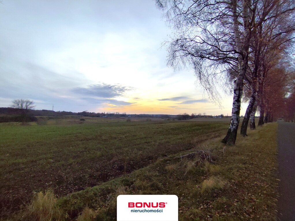 Duża działka usługowa przy S6 (3)