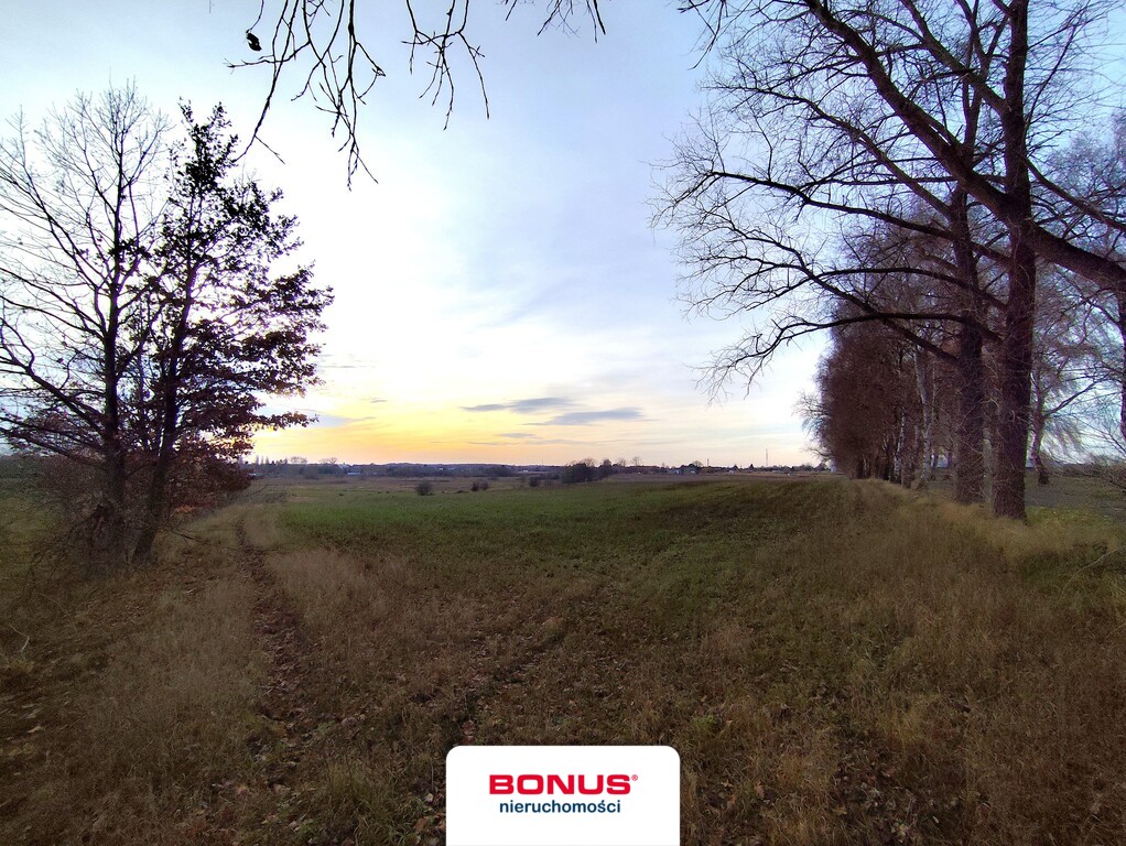 Duża działka usługowa przy S6 (4)