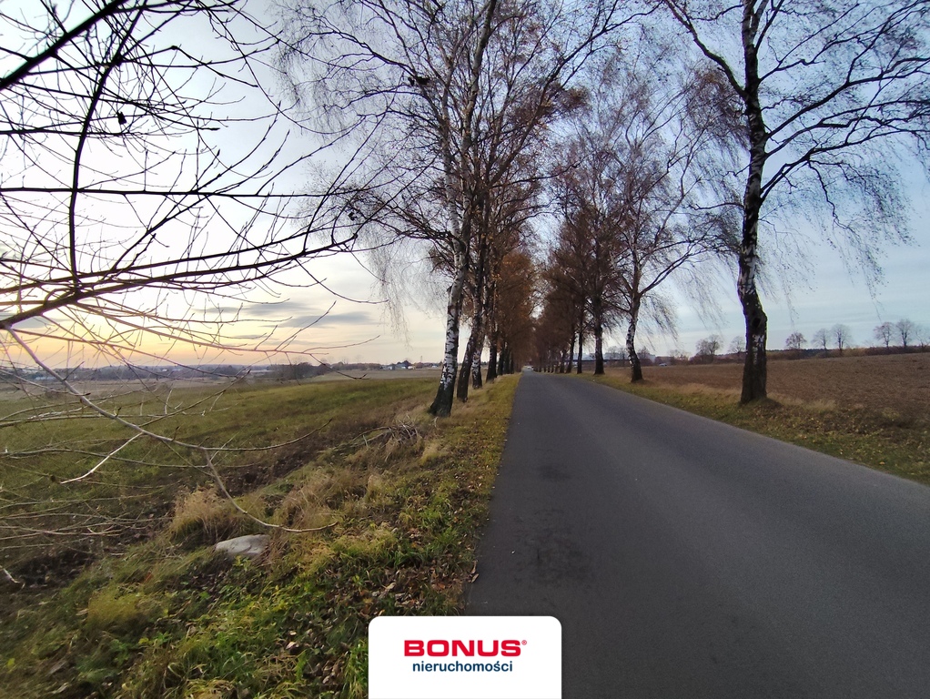 Duża działka usługowa przy S6 (6)
