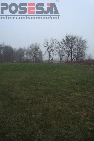 Siedliskowa, 3,000 m2, Borzym  (2)