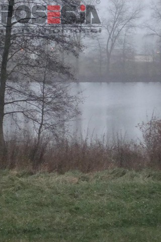 Siedliskowa, 3,000 m2, Borzym  (3)