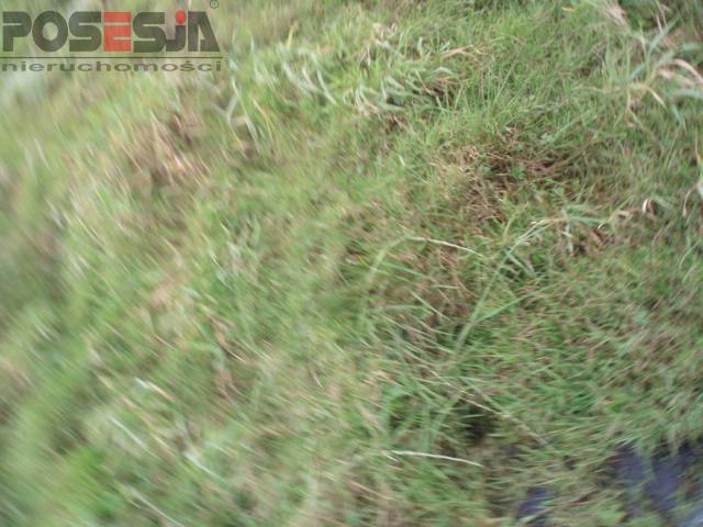 Rolna, 40,700 m2, Niechorze  (4)