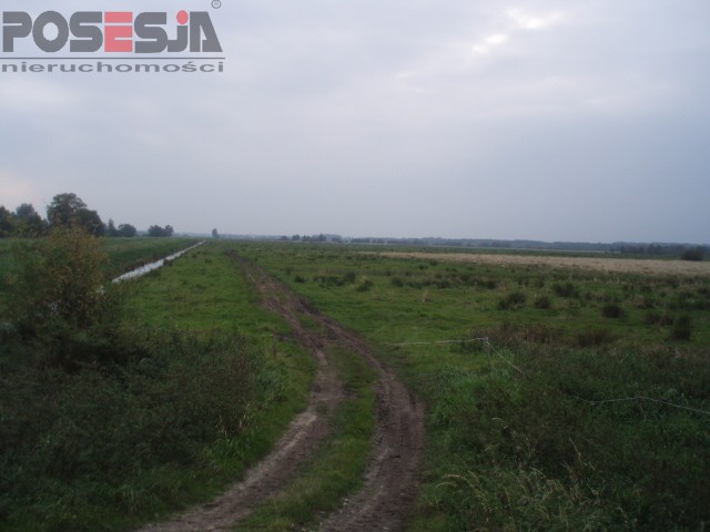 Rolna, 40,700 m2, Niechorze  (5)