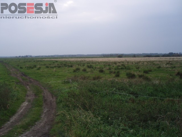 Rolna, 40,700 m2, Niechorze  (6)