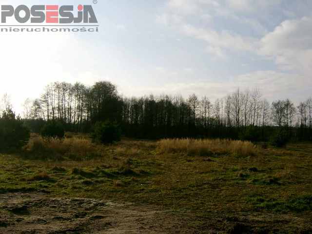 Budowlana, 1,076 m2, Grzepnica  (3)