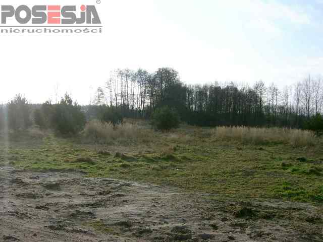 Budowlana, 1,076 m2, Grzepnica  (4)