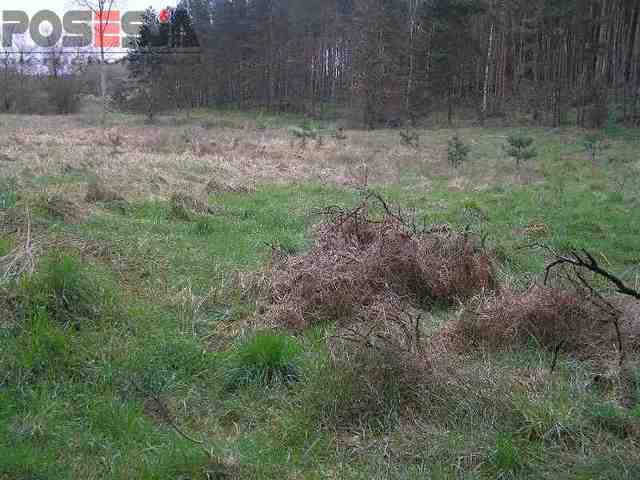 Rolna, 5,700 m2, Żórawie  (3)