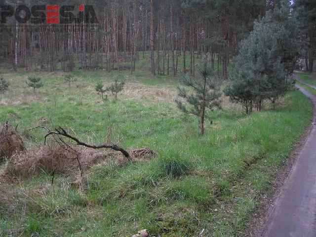 Rolna, 5,700 m2, Żórawie  (4)