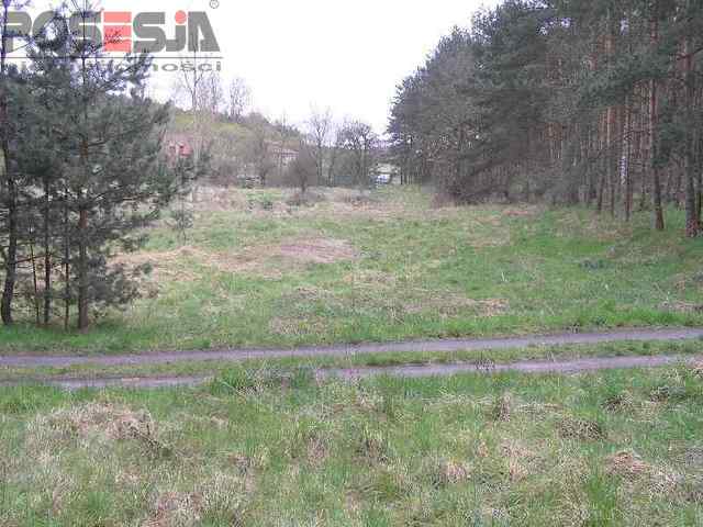 Rolna, 5,700 m2, Żórawie  (5)