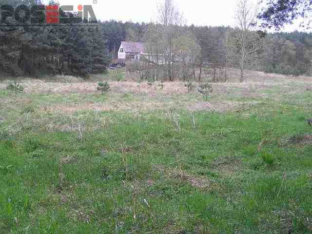 Rolna, 5,700 m2, Żórawie  (6)