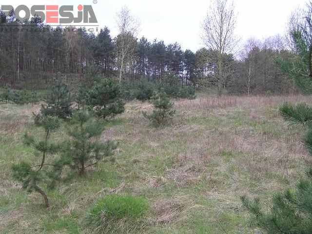 Rolna, 5,700 m2, Żórawie  (8)