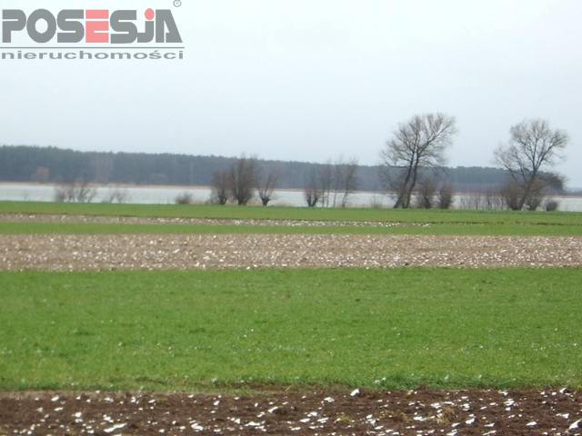 Działka z 240 metrową linią brzegową nad Dziwną (3)